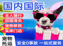 西昌青山机场空运国际宠物托运 【国